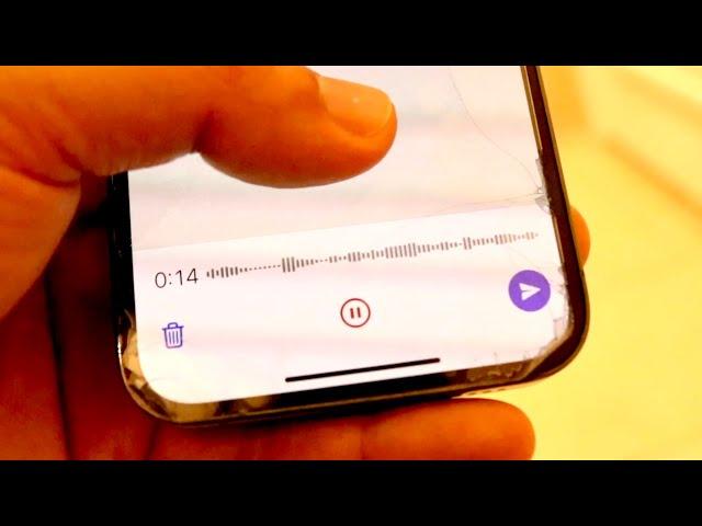 How To Send a Voice Message On WhatsApp! (2023)