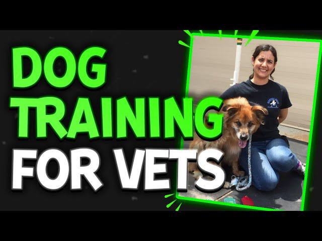 What Vet Med Doesn't Know About Dog Training w/ ThinkingCanine | The Veterinary Roundtable - EP79