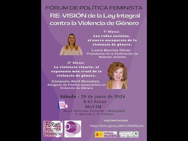 RE-VISION de la ley Integral contra la Violencia de Género