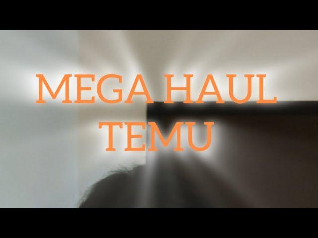 MEGA HAUL TEMU  || Roberta Tummino