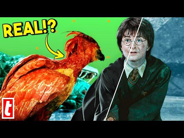 Harry Potter Practical Effects You Thought Were CGI