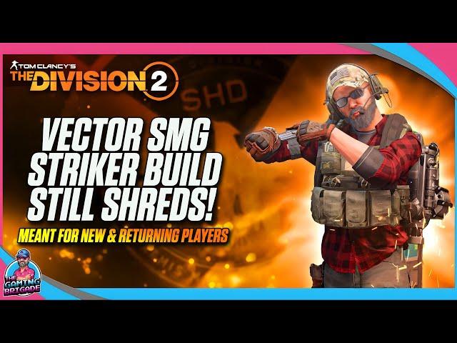 SOLO GROUP PVE BUILD! | THE DIVISION 2 | VECTOR SMG STRIKER PVE BUILD | COYOTE'S MASK STRIKER BUILD!