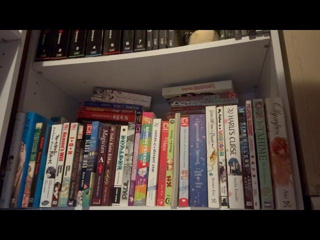 One Shot Manga Collection 2024 | Organize with me, Manga Recommendations, & Picking a TBR