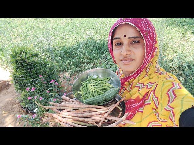 गांव की Desi सब्जी|| video बनाने के चक्कर में hua bhari नुकसान #villagelife