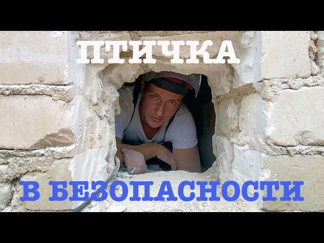 #154. Ежегодная борьба. Условия для нашей птицы. Огород. [Жизнь на своей земле]