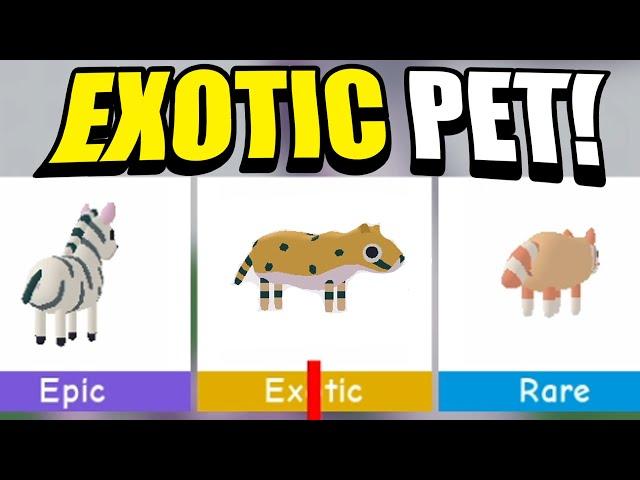 NEW EXOTIC PET in LAUNDRY SIMULATOR! (Roblox)