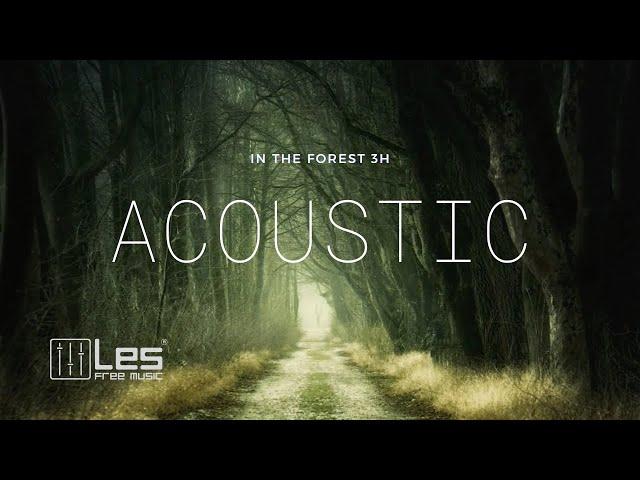 [ Study Sleep Relax ] In The Forest 3H  - Acoustic Background Music (Royalty Free) Lesfm