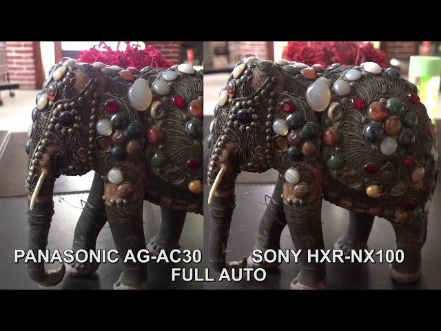 PANASONIC AG-AC30  vs  SONY HXR-NX100