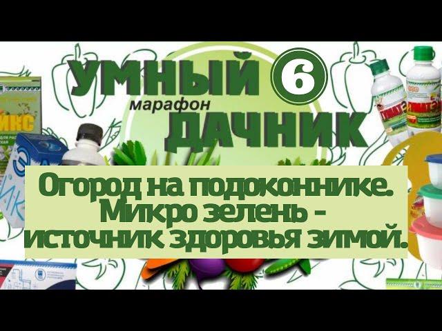 Огород на подоконнике. Микро зелень - источник здоровья зимой. @Маргарита Коршунова