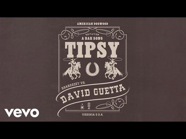 Shaboozey, David Guetta - A Bar Song (Tipsy) [Remix] (Official Visualizer)