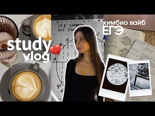 STUDY VLOG  | учусь по 10 ЧАСОВ в день | НЕДЕЛЯ УЧЕБЫ в 11 классе | подготовка к ЕГЭ |химбио версия