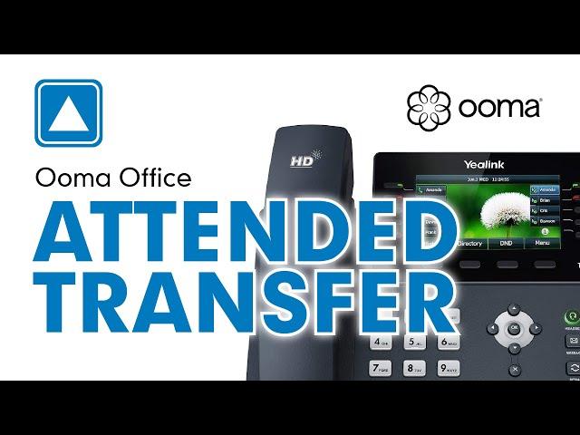 Ooma Office - How to use Attended Transfer