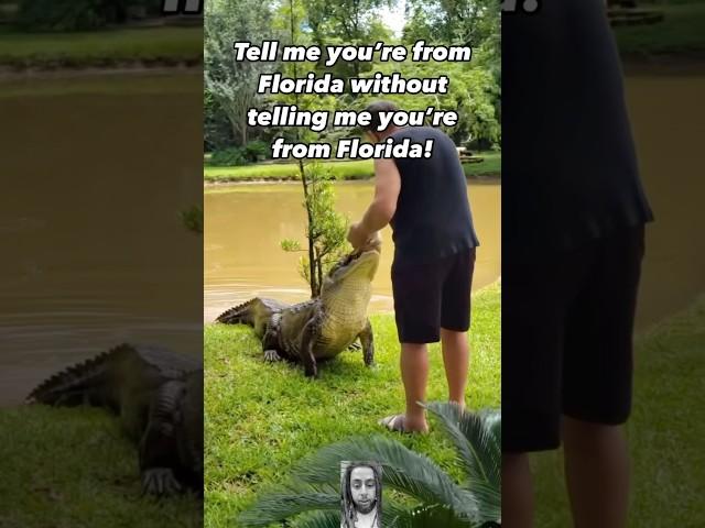 ALLIGATOR CHALLENGE COMPLETEDin 2024?!