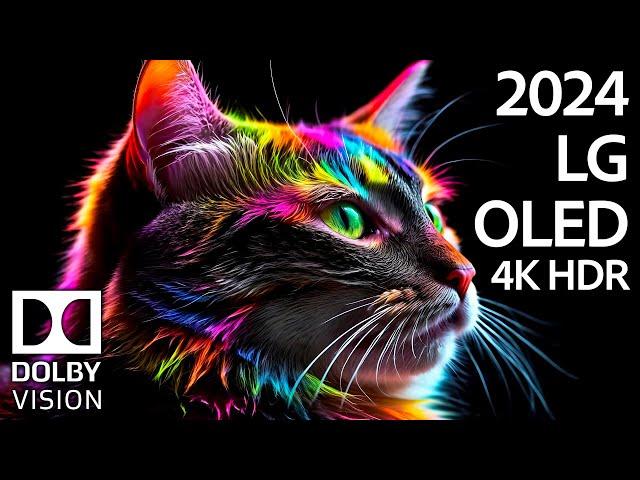 2024 LG OLED BLACKS l 4K HDR 120fps Dolby Vision