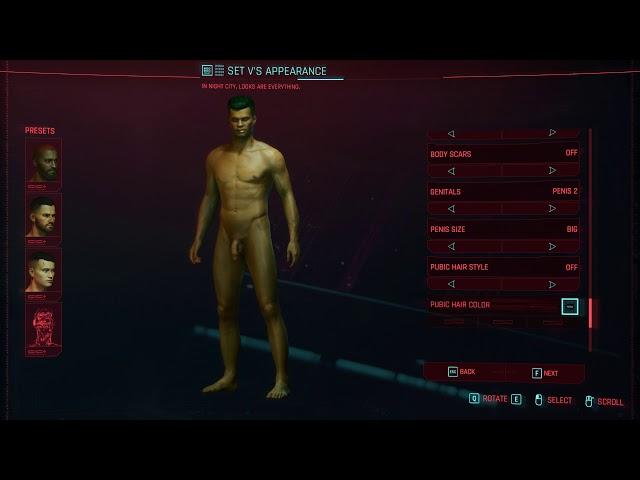 Cyberpunk2077 Genitals customization