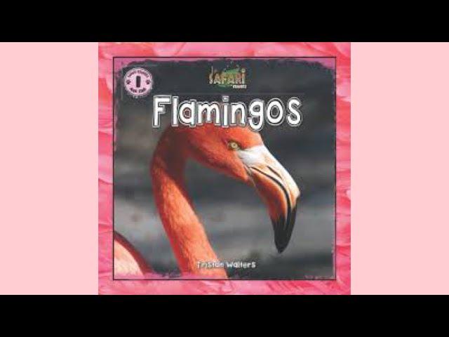 Flamingos | Kids Read Aloud Books | Animal Storytime for Kids | Animal Facts for Kids | Nature Books