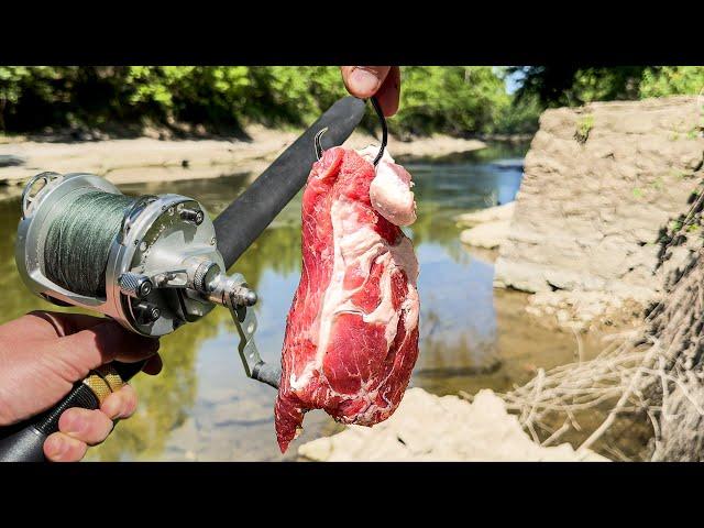 I Caught a GIANT Catfish!!! (The Hunt for a 100lb Catfish!)