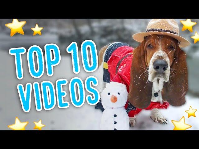 Dean's TOP 10 videos! ⭐️