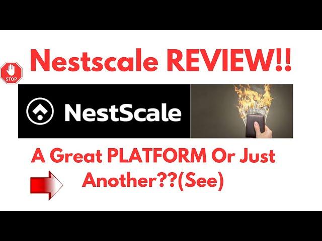 Nestscale Review-Is This PLATFORM Really WORTH Using AT ALL Or NOT?See(Do not Use Yet)