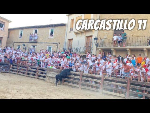 Carcastillo (Navarra)- 11/08/2024- Ganaderia ARRIAZU️