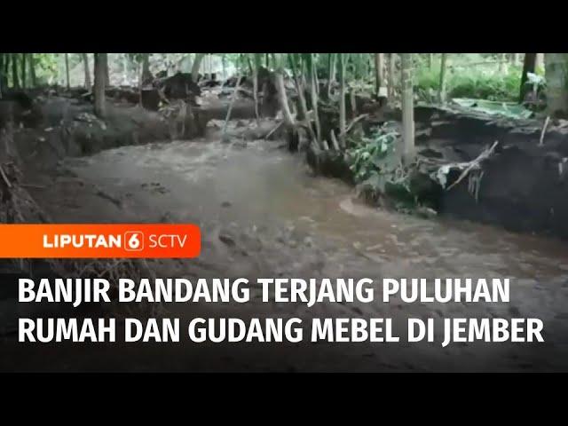 Banjir Bandang Disertai Lumpur Kembali Menerjang Sejumlah Desa di Jember | Liputan 6