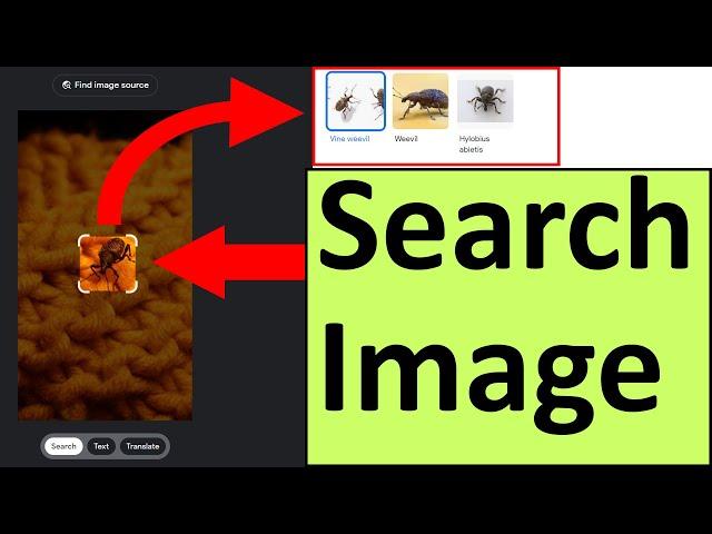 How To Use Google Image Search