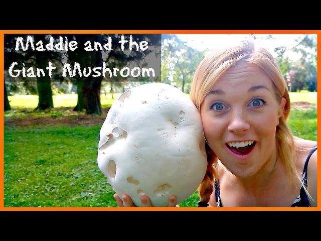 Maddie and the Giant Mushroom! | Maddie Moate