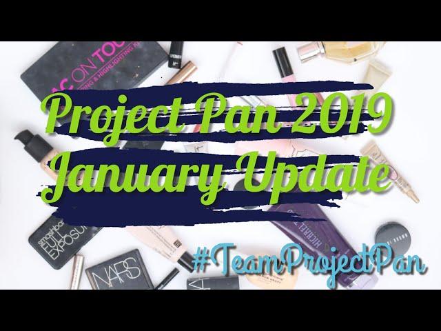 Project Pan 2019 January Update | Year Long Rolling Project Pan