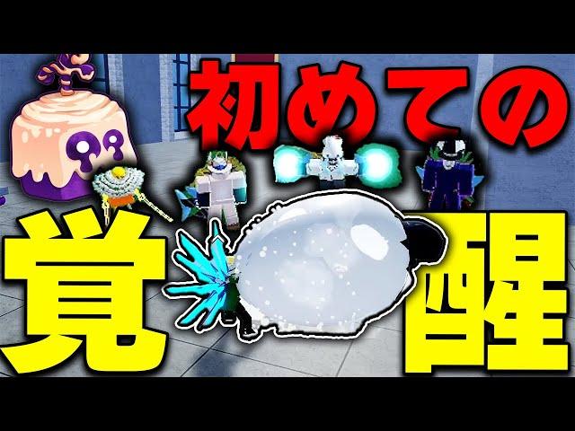 2年実況して一度も使ってない人気NO.1悪魔の実"モチモチ"覚醒できるまで寝れません【ブロックスフルーツ/ロブロックス】