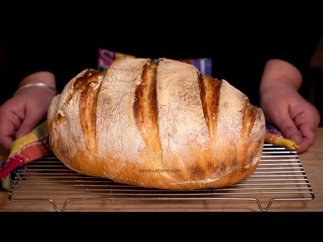 No-knead bread - mix the dough for 30 seconds with a spoon! Quick recipe CC SUB | Savori Urbane