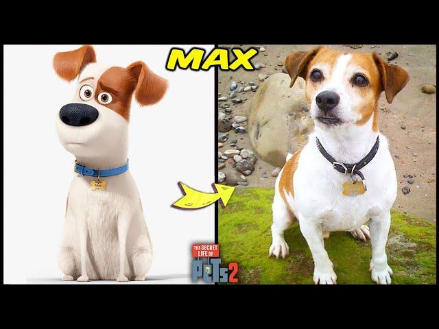 The Secret Life of Pets 2 Characters In Real Life And Other Favorites! | Max, Gidget, Chloe & Others