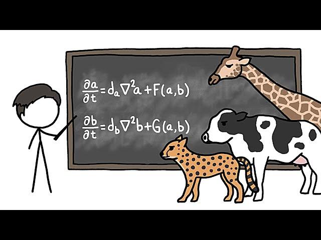 Can Math Explain How Animals Get Their Patterns?