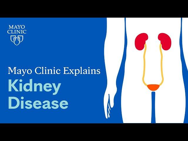 Mayo Clinic Explains Kidney Disease