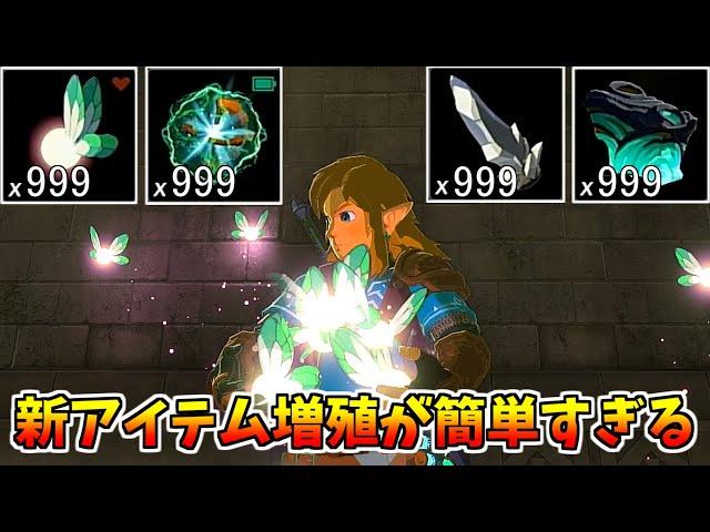 【ティアキン】妖精も増やせる新アイテム増殖バグがヤバすぎる【ゼルダの伝説 ティアーズ オブ ザ キングダム】