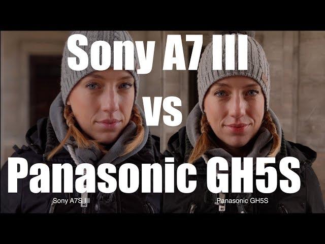 Sony A7III vs Panasonic GH5S - Skintones, AF, Lowlight, Picture Profile