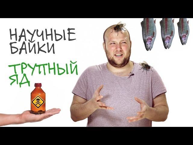 Трупный яд. Научные байки дядюшки Серафима