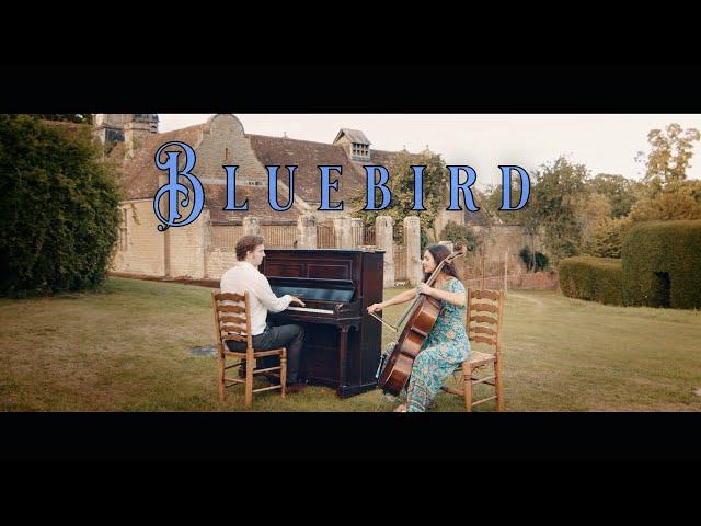 Luke Faulkner & Vesislava | "Bluebird" Music Video