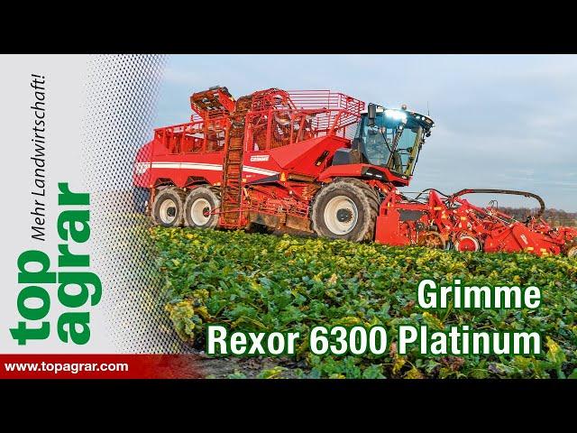 Grimme Rexor 6300 Platinum im top agrar Fahrbericht