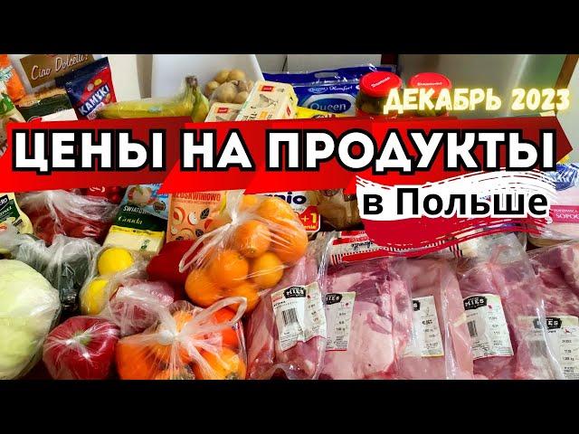 Цены на Продукты в Польше | Декабрь 2023: Закупка Продуктов на Месяц 