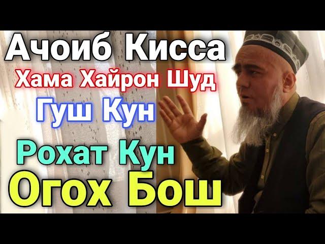 Домулло Абдурахим Ачоиб Кисса Гуш Кун Рохат Мекни Огох бош нав 2020