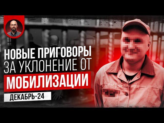 Мобилизация или срок? Почему количество приговоров за уклонение от мобилизации растет каждый день