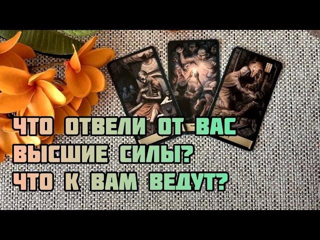 ЧТО ОТВЕЛИ ОТ ВАС ВЫСШИЕ СИЛЫ?.. и ЧТО К ВАМ ВЕДУТ?..️ Гадание Таро