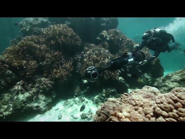 Virtual dive the Great Barrier Reef with "Seaview"