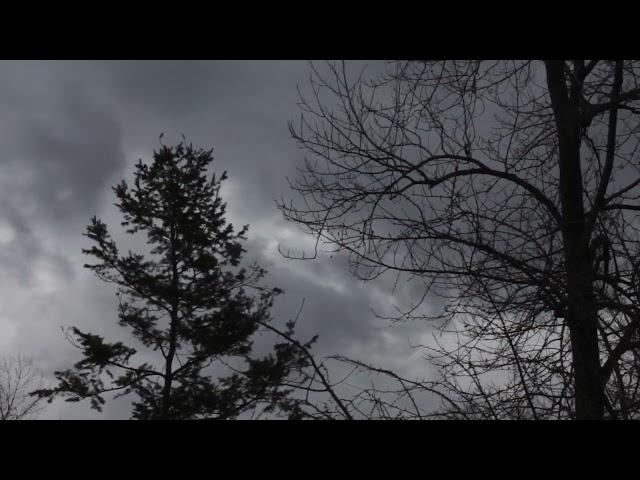 Осенний ветер вечером на природе для релакса | Autumn wind in the evening in nature for relaxation