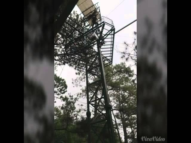 Tree Drop - Baguio Tree Top Adventure v3