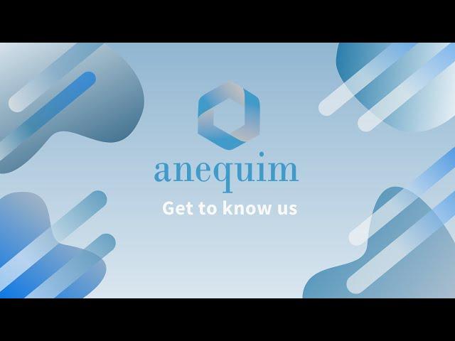 Get to know Anequim, find out how you can start working from home!