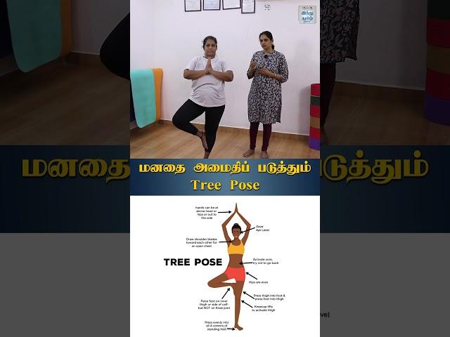 மனதை அமைதிப் படுத்தும் Tree Pose..| HTT