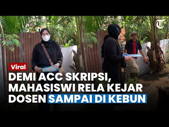 VIRAL PERJUANGAN Mahasiswi Kejar Dosen Sampai di Kebun Demi Acc Skripsi