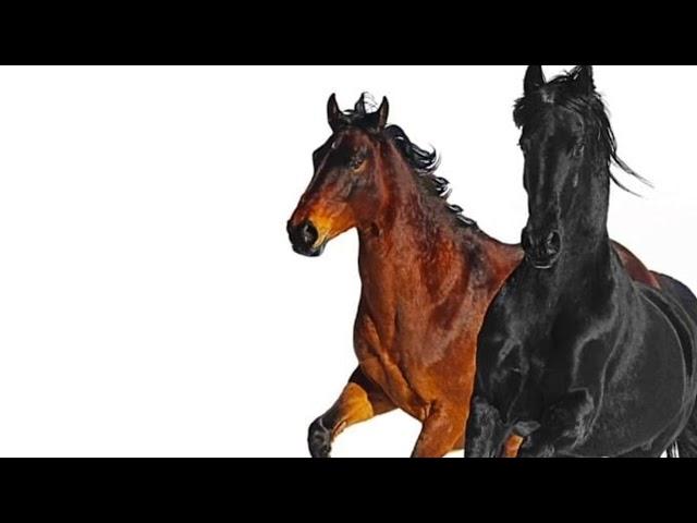 Lil nas x  old town road [8D AUDIO & BASS BOOSTED]