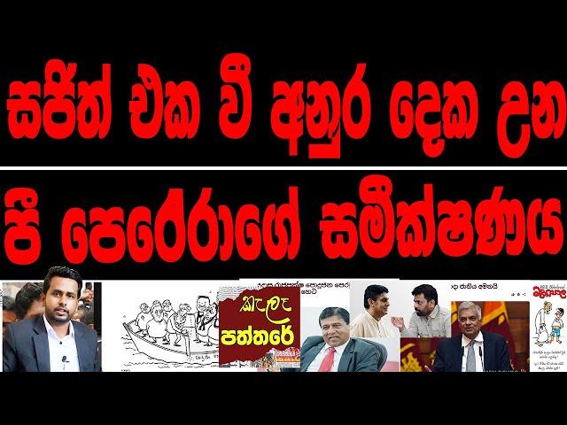 සජිත් එක වී අනුර දෙක වුණ පී.පෙරේරාගේ සමීක්ෂණය. kalapaththare / කැලෑ පත්තරය